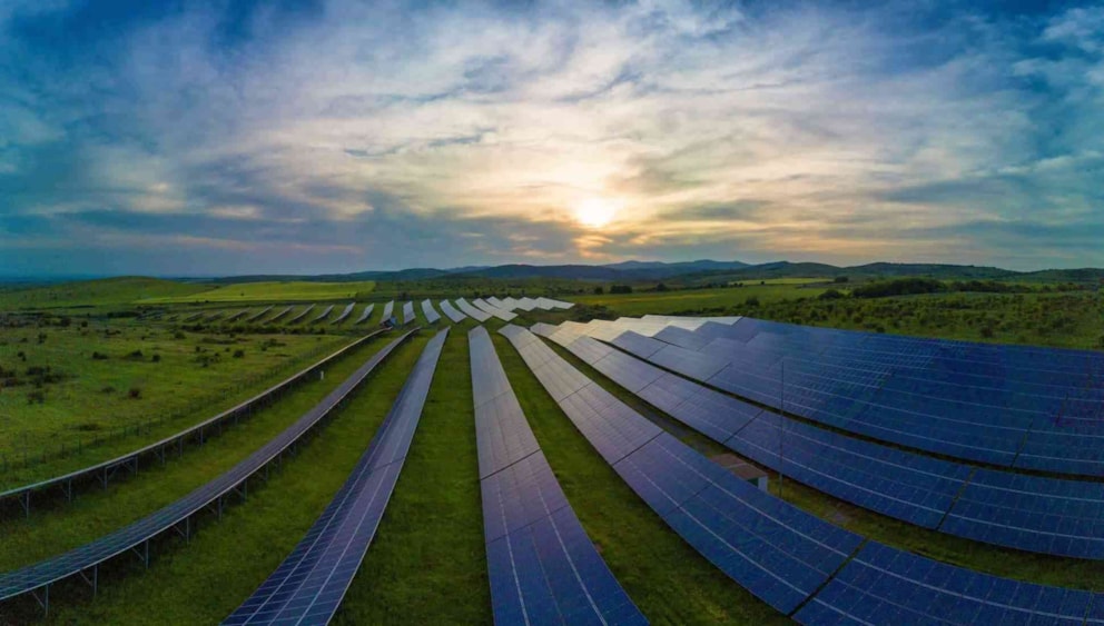 Governance & Vision for Net-Zero